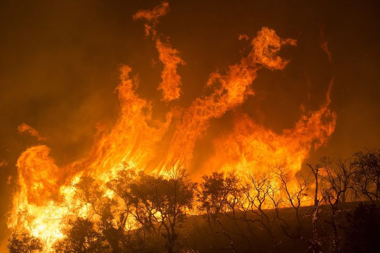 forest-fire-3905868_1280