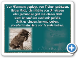 gebet_eines_straenhundes
