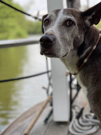megara-frieda_IMG_1476