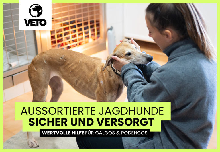 sicherundversorgt_ee881c20-ab44-4edf-b327-eaa40d2f4fe4