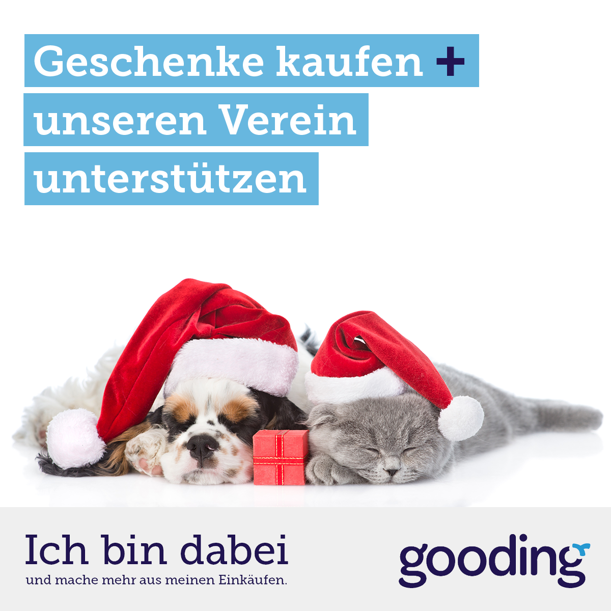 weihnachtsgeschenke-tiermotiv-1200x1200px