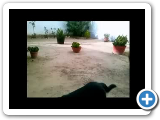 01 India