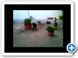 02 India