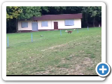 Rumba_VID-20141021-WA0000